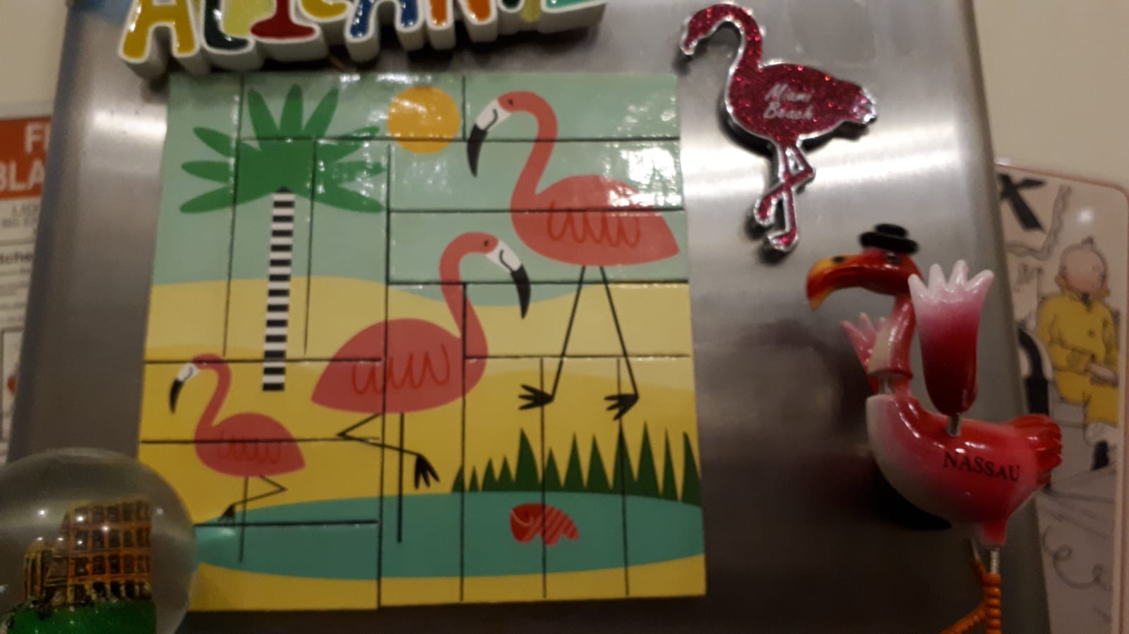 flamingos magnet 2019